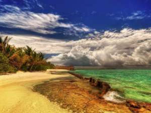 Beautiful Summer Wallpaper