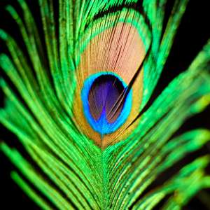 An Emerald Princess Wallpaper