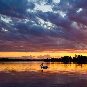 Sunset on Fire Wallpaper