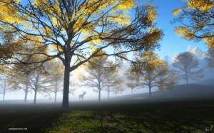 The Light Within Ver.2 Wallpaper