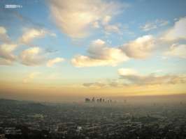 Downtown Los Angeles From Griffith Wallpaper