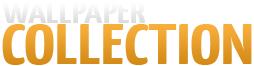 Wallpapers Collection