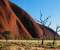 Uluru-Ayers Rock