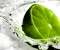 Green Lime