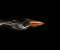 Fast bullet