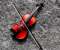 Violin and its bow