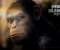Rise Of The Planet Of The Apes: Caesar