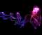 Purple Smoke