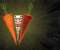 Carrots