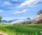 3D Spring Landscape