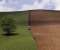 Spring Ploughing