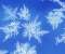 Snowflake Photo