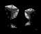 Black Dices