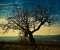 Dark Tree