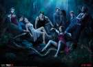 True Blood Cast wallpaper