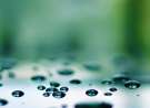 Levitating Droplets wallpaper