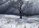 Winter Rays wallpaper