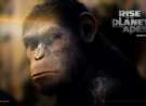Rise Of The Planet Of The Apes: Caesar wallpaper