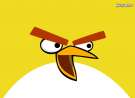 Angry Birds Yellow wallpaper
