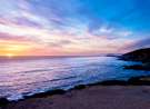 Bodega Head Sunset wallpaper