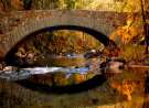 Bridge In Autumn wallpaper