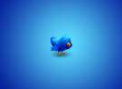 Twitter Bird wallpaper
