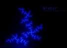 Winter Fractal wallpaper