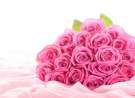 Pink Roses wallpaper