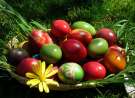 Easter Eggs In A Basket wallpaper
