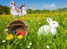 Eggs, Rabbit And Kids wallpaper
