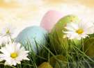 Dotted Eggs And Flowers wallpaper
