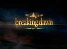 Twilight Saga: Braking Dawn Part 2 wallpaper