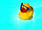 Little Rubber Duck wallpaper