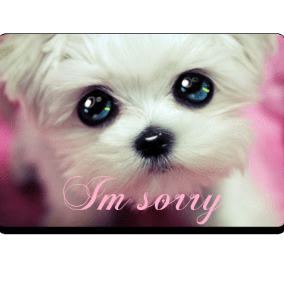 Cute dog sorry